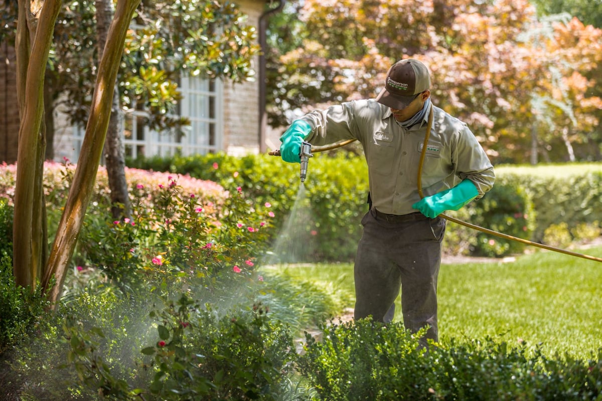 How to Clear a Flower Bed Full of Weeds Tips for North Texas Homeowners